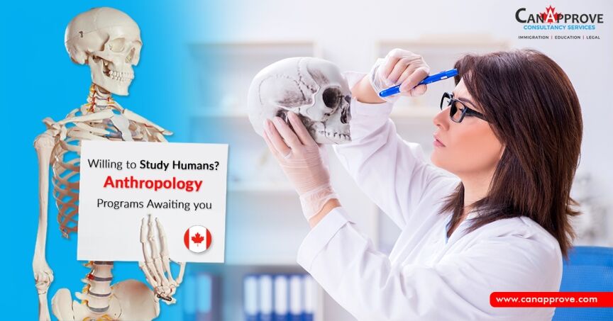 Anthropology