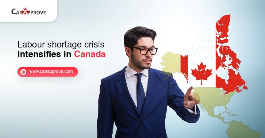 Labour shortage crisis