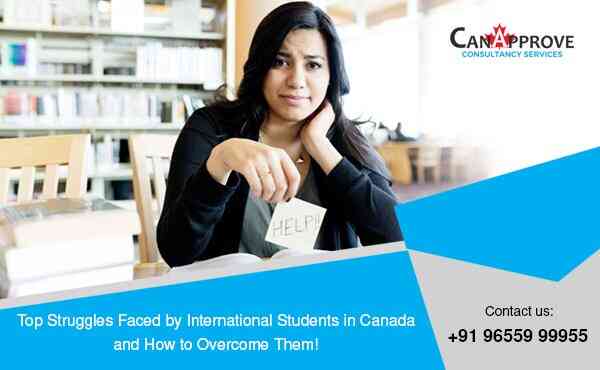 International Students