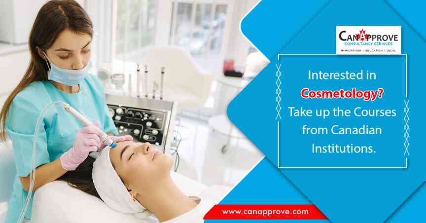 professionals in the field of cosmetology