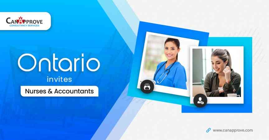 OINP nurse accountant