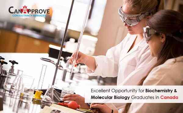 Molecular Biology Graduates