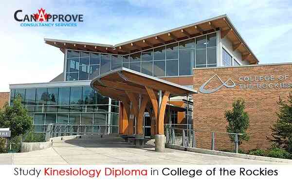 Kinesiology Diploma
