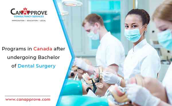 Bachelor of Dental Surgery