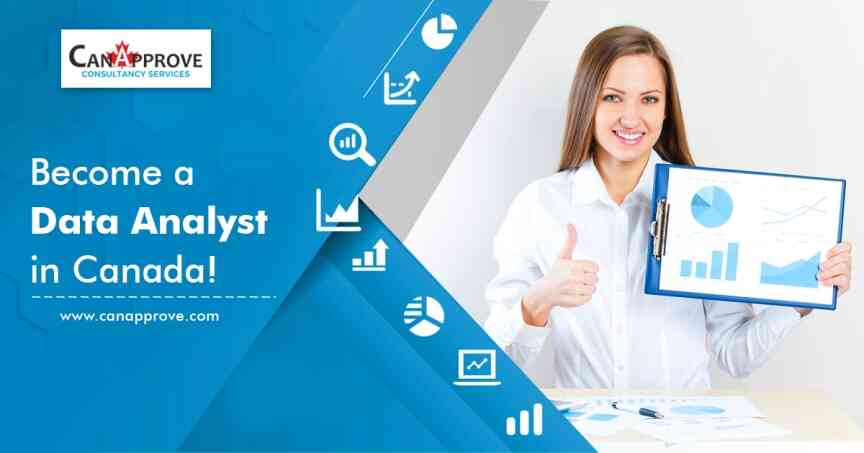 Data Analysts