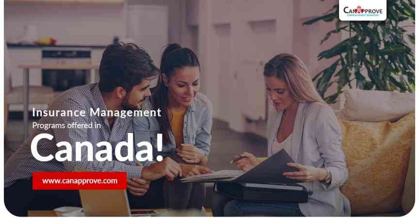 Insurance Management