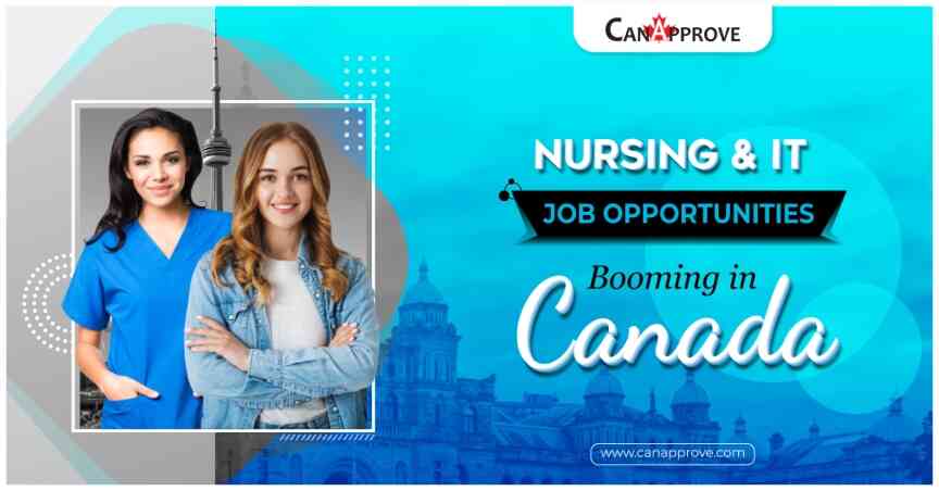 Nursing and IT jobs