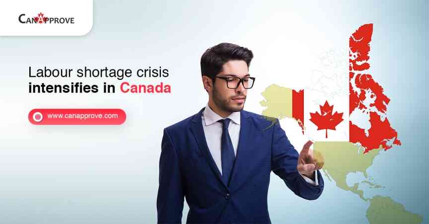Labour shortage crisis