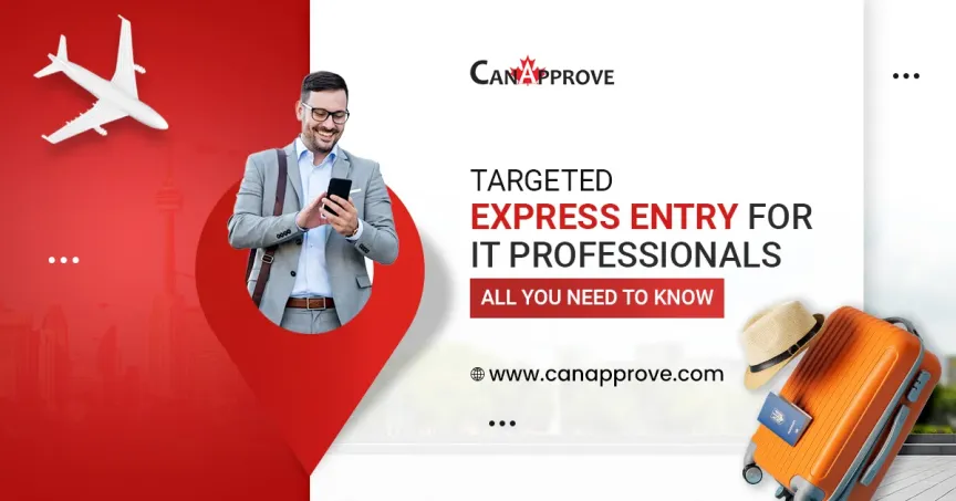 IT Professionals
