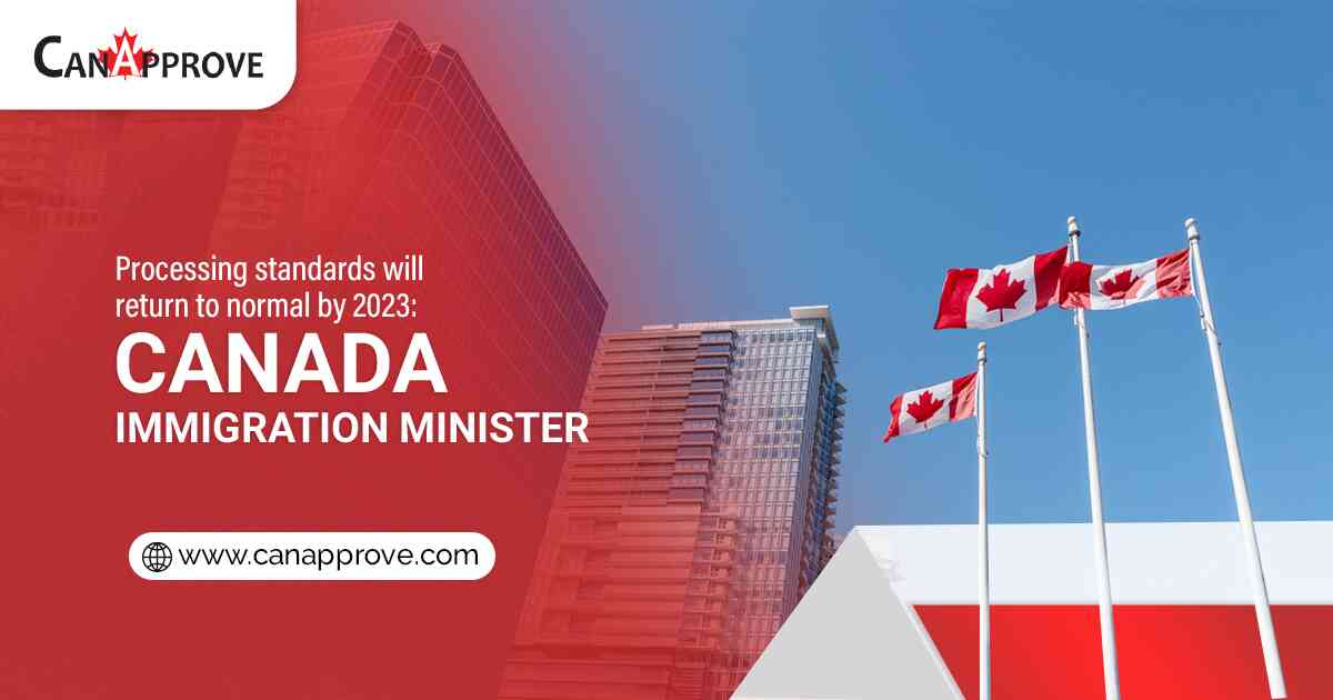 Processing standards for immigration applications will return to normal by 2023