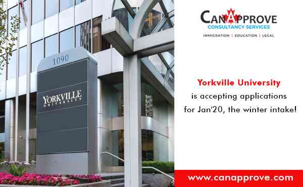 Yorkville University blog