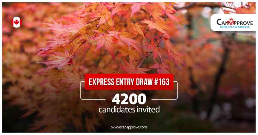 Express Entry draw