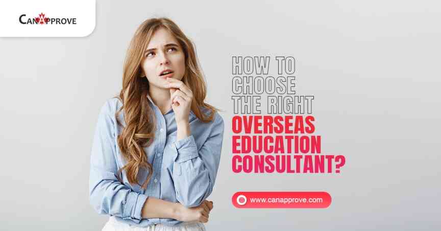 overseas education consultant