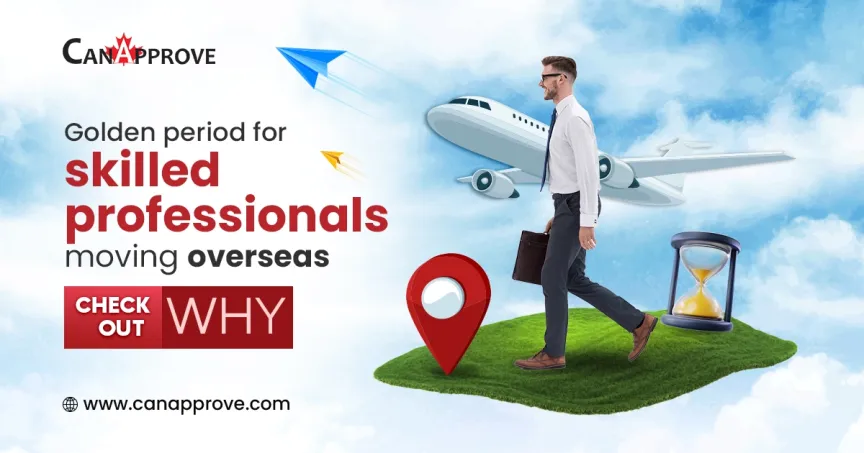 Skilled Professionals