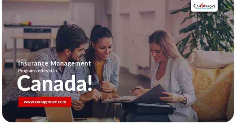 Insurance Management