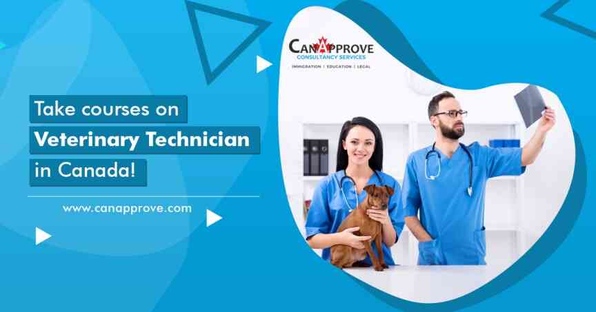 Veterinary Technican Courses in Canada Jan 10