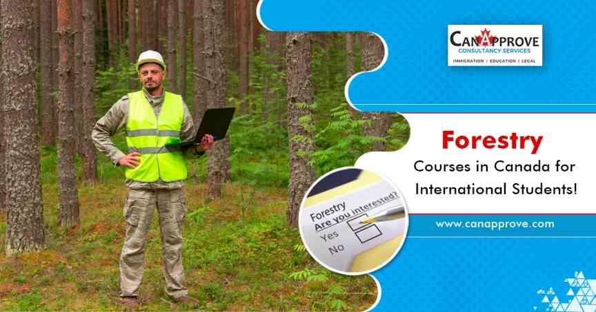 Forestry Courses in Canada Jan 07